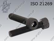 Śr. imbusowa npgw M10×1,25×100-12.9 surowe ISO 12474