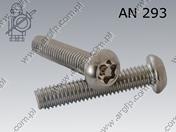 Śruba grzybkowa Tx-pin M 3× 6-A2 AN 293