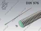 Pręt gwint. trapez. DIN 103 Tr12×3×1000-A2 ~DIN 976
