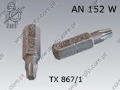 Grot wkrętarki Tx 10/25 AN 152 W 867/1 ZTorxHF