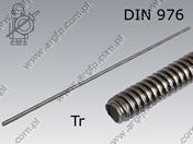 Pręt gwint. trapez. DIN 103 Tr12×3×1000-C15 surowe ~DIN 976